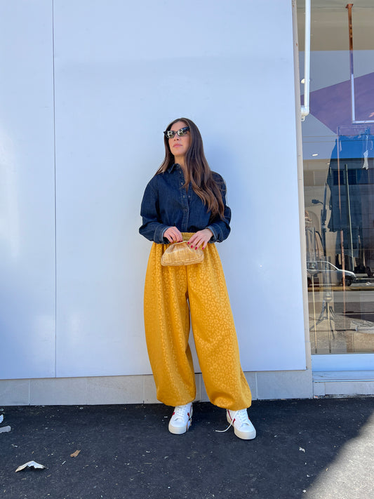 Pantalone Aladin